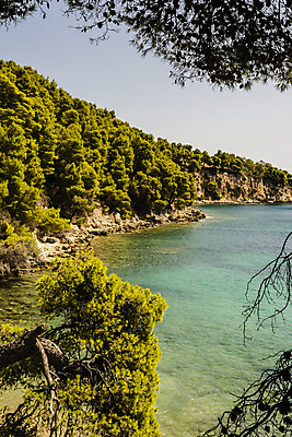 포토 JPG 해외이미지 나무 파도 바다 섬 여행 하늘 휴가 휴식 풍경 사람없음 물 여름 파란색 햇빛 반사 여행객 화목 고요 꿈 그리스 휴양지 암초 이국적 터키석 파라다이스 해외202004 해외포토 자연요소 식물 계절 유럽 컬러 컨셉 사람 태양 장소 보석 파일형식 이미지허브