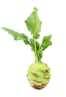 포토 JPG 해외이미지 식물 음식 잎 채소 건강 요리 사람없음 초록색 파란색 농장 갈색 주방 정원 수확 성장 분노 흰색 신선 시장 맛 농부 유기농 원예 양배추 날것 뿌리 내추럴 땅바닥 생식 식용 콜라비 특별함 세련 해외202004 해외포토 직업 웰빙 감정 컬러 컨셉 농업 바닥 취미 파일형식 이미지허브