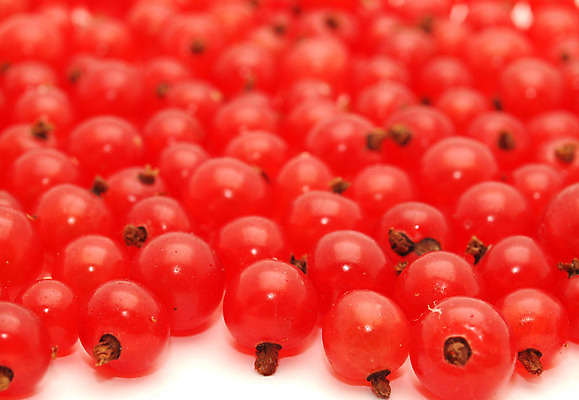 포토 JPG 해외이미지 식물 열매 백그라운드 자연 그림자 요리 사람없음 빨간색 빛 식사 어둠 흰색 달콤 맛 수집 먹기 건포도 해외202004 해외포토 컬러 컨셉 모션 포도 생태계 건과일 파일형식 이미지허브