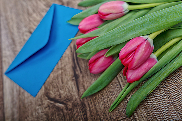 포토 JPG 해외이미지 계절 꽃 종이 꽃다발 백그라운드 컨셉 탁자 휴가 봉투 발렌타인데이 선물 사랑 사람없음 목재 초록색 공백 튤립 편지 심볼 질감 내추럴 해외202004 해외포토 나무 식물 감정 컬러 가구 재료 데이이벤트 파일형식 이미지허브