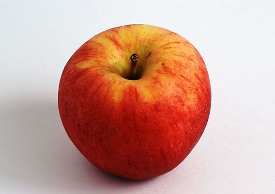 포토 JPG 해외이미지 음식 과일 건강 사람없음 빨간색 신선 달콤 사과 먹기 숙성 해외202004 해외포토 컬러 모션 맛 파일형식 이미지허브