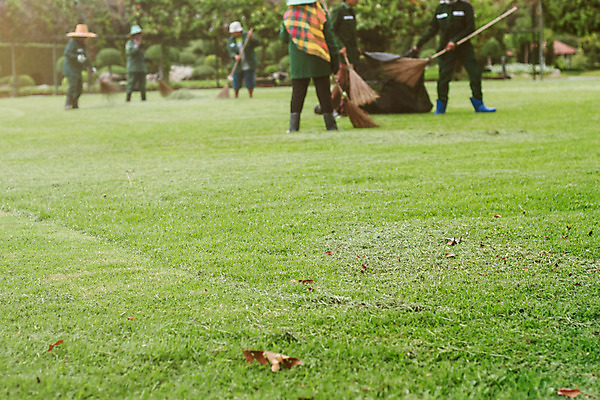 포토 JPG 해외이미지 나무 식물 공원 잎 밭 노동자 건조 서기 사람 풍경 잔디 사람없음 장식 초록색 여름 농장 마을 정원 봄 장비 도구 신선 잡기 업무 자르기 빗자루 청소 원예 청소부 내추럴 원예사 해외202004 해외포토 직업 계절 공공시설 컬러 농업 모션 취미 작업 청소도구 파일형식 이미지허브