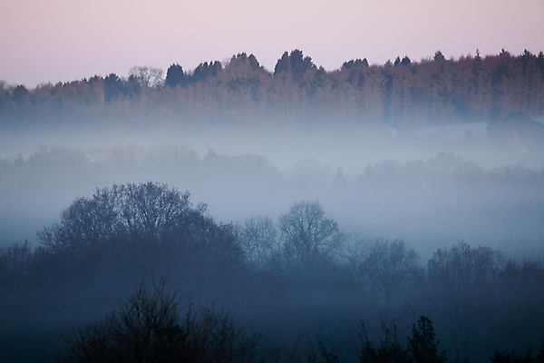 포토 JPG 해외이미지 나무 계절 백그라운드 겨울 자연 잉글랜드 풍경 사람없음 햇빛 일출 새벽 안개 장면 스카이라인 2월 수평선 서식스 해외202004 해외포토 자연요소 식물 날씨 영국 태양 노을 날짜 생태계 파일형식 이미지허브