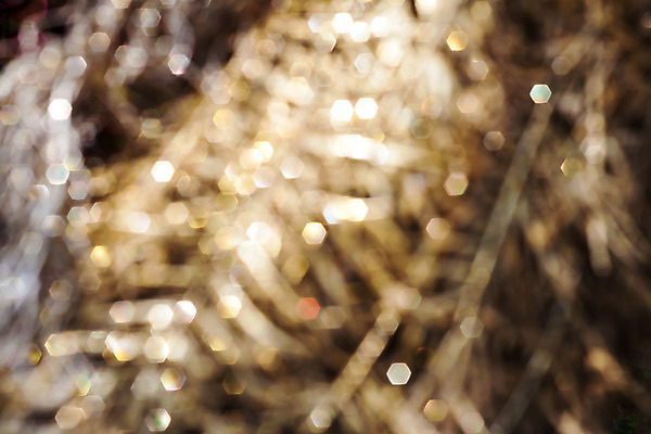 포토 JPG 해외이미지 모양 디자인 행복 사람없음 장식 빛 반짝임 축하 화려 소프트포커스 보케 블러 해외202004 해외포토 감정 컨셉 모션 촬영기법 파일형식 이미지허브