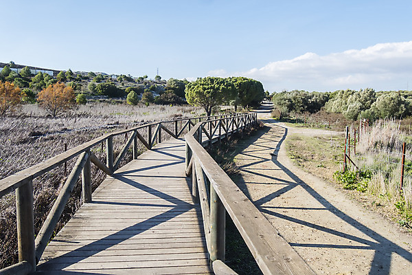 포토 JPG 해외이미지 나무 동물 계절 공원 호수 야생동물 여행 날개 오렌지 가족 자국 자연 조류 휴식 풍경 사람없음 야외 빨간색 초록색 파란색 컬러풀 노란색 평화 환경 침묵 봄 연못 개울 황무지 떨어짐 습지 신화 물새 철새 석호 내추럴 동물상 전국 해외202004 해외포토 식물 공공시설 컬러 컨셉 과일 관계 강 조형물 소리 생태계 파일형식 이미지허브