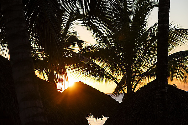 포토 JPG 해외이미지 나무 구름 모래 파도 바다 섬 여행 백그라운드 잎 오렌지 자연 하늘 휴가 휴식 손바닥 풍경 사람없음 야외 초록색 물 여름 파란색 햇빛 태양 일출 맑음 황혼 일몰 새벽 저녁 휴양지 코코넛 공화국 이국적 파라다이스 수평선 해외202004 해외포토 자연요소 식물 손 계절 나라 컬러 컨셉 과일 날씨 노을 장소 야간 생태계 파일형식 이미지허브