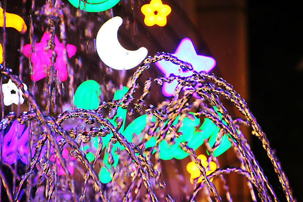 포토 JPG 해외이미지 전통 행복 별 어린이 크리스마스 공 창문 가족 눈사람 지팡이 새로움 기념 프레임 따뜻함 사탕 선물 이벤트 사람없음 야외 내부 장식 물 빛 컬러풀 장난감 산타클로스 반사 축제 화환 축하 아기 소나무 황금 야간 12월 연도 분수 초대 제트기 마법 전나무 원뿔 엘리먼트 해외202004 해외포토 자연요소 도형 나무 기념일 꽃 감정 컬러 컨셉 관계 디저트 비행기 사람 날짜 파일형식 이미지허브