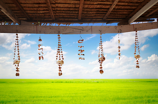 포토 JPG 해외이미지 디자인 바다 백그라운드 패턴 자연 하늘 지붕 조개 주택 사람없음 내부 장식 여름 껍질 스타일 해외202004 해외포토 계절 무늬 어패류 건물 생태계 파일형식 이미지허브