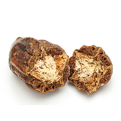 포토 JPG 해외이미지 과일 씨앗 사람없음 조미료 인도인 허브 향신료 유기농 성분 고립 해외202004 해외포토 외국인 식물 웰빙 동양인 향미료 파일형식 이미지허브