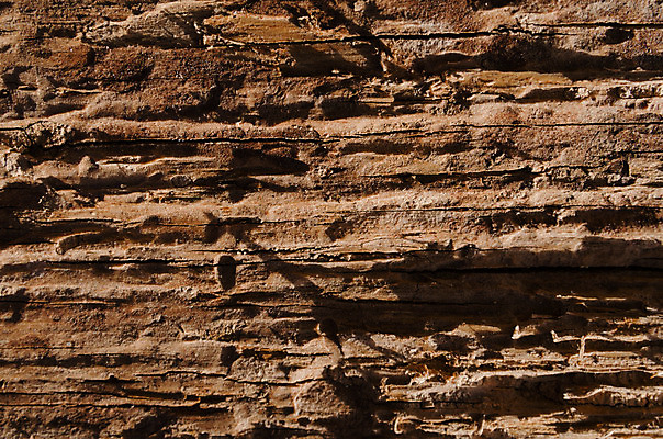포토 JPG 해외이미지 벽 백그라운드 패턴 자연 표면 추상 건조 사람없음 목재 장식 세로 갈색 공백 수확 판넬 구멍 거친 자르기 묘사 질감 통나무 내추럴 그런지 수목 옛날 해외202004 해외포토 나무 컬러 무늬 농업 재료 모션 생태계 파일형식 이미지허브