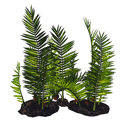 포토 JPG 해외이미지 나무 식물 1 잎 과일 일러스트 자연 손바닥 사람없음 초록색 3D 환경 견과류 싱글 흰배경 고립 혼자 해외202004 해외포토 손 컬러 백그라운드 흰색 디지털합성 생태계 파일형식 이미지허브