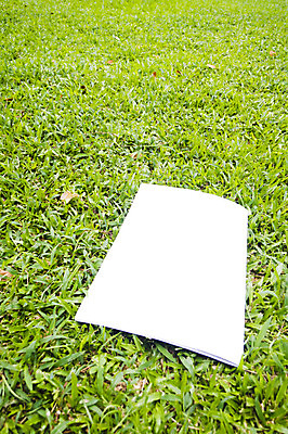 포토 JPG 해외이미지 공원 종이 리플렛 밭 통신 팜플렛 사람없음 야외 책 초록색 세일 우주 환경 공백 흰색 뉴스 재산 땅 알림 페이지 소통 출판 해외202004 해외포토 공공시설 컬러 컨셉 농업 금융 파일형식 이미지허브