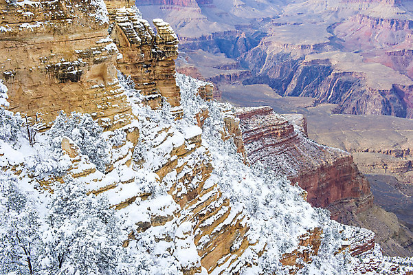 포토 JPG 해외이미지 나무 응시 공원 여행 겨울 자연 산 풍경 사람없음 야외 여행객 골짜기 냉동 미국 하이킹 추위 흰색 소나무 위험 12월 부식 그림 암초 애리조나 내추럴 깊이 전국 지질학 콜로라도 눈내림 해외202004 해외포토 식물 시선 계절 공공시설 교육 컬러 컨셉 북아메리카 레저 눈_날씨 사람 날짜 생태계 파일형식 이미지허브