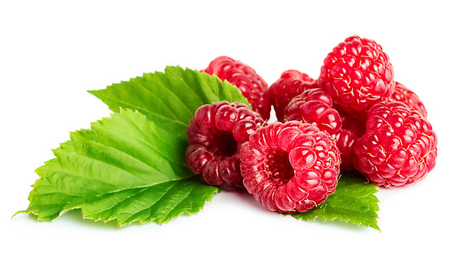 포토 JPG 해외이미지 열매 백그라운드 잎 과일 재료 디저트 건강 사람없음 빨간색 초록색 흰색 신선 그룹 달콤 맛 날것 산딸기 흙더미 고립 숙성 채식주의자 해외202004 해외포토 식물 음식 컬러 컨셉 흙 채식 파일형식 더미 이미지허브