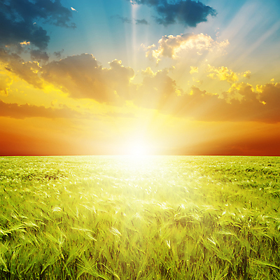 포토 JPG 해외이미지 식물 구름 계절 백그라운드 밭 농업 오렌지 자연 하늘 풍경 잔디 사람없음 야외 빨간색 초록색 여름 파란색 빛 햇빛 태양 농장 농경지 노란색 일출 환경 맑음 황혼 일몰 봄 성장 광선 시골 땅 장면 내추럴 수평선 해외202004 해외포토 자연요소 산업 컬러 과일 날씨 노을 생태계 파일형식 이미지허브