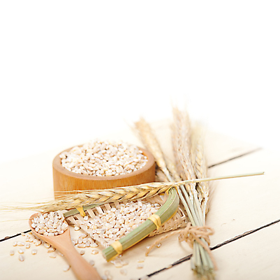 포토 JPG 해외이미지 근접촬영 사람없음 농작물 낟알 보리 보리이삭 해외202004 해외포토 뷰포인트 농업 곡류 이삭 파일형식 이미지허브