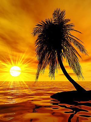 포토 JPG 해외이미지 나무 식물 디자인 실루엣 모래 파도 바다 섬 여행 백그라운드 오렌지 하늘 휴가 그림자 풍경 해변 사람없음 빨간색 물 여름 파란색 세트 태양 갈색 노란색 3D 평화 일출 고요 일몰 서핑 야간 저녁 상승 하와이 만들기 내추럴 고립 이국적 파라다이스 해외202004 해외포토 자연요소 계절 컬러 컨셉 과일 모션 촬영기법 노을 미국 수상스포츠 디지털합성 파일형식 이미지허브