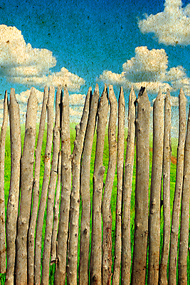 포토 JPG 해외이미지 구름 벽 줄기 밭 난간 자연 하늘 프레임 풍경 사람없음 야외 목재 여름 울타리 수확 골동품 시골 얼룩 틈 막대기 보호 널 그림 복고 통나무 엽서 날카로움 스파이크 구식 옛날 줄서기 회복 해외202004 해외포토 자연요소 나무 식물 계절 컨셉 농업 재료 모션 담장 편지 생태계 파일형식 이미지허브