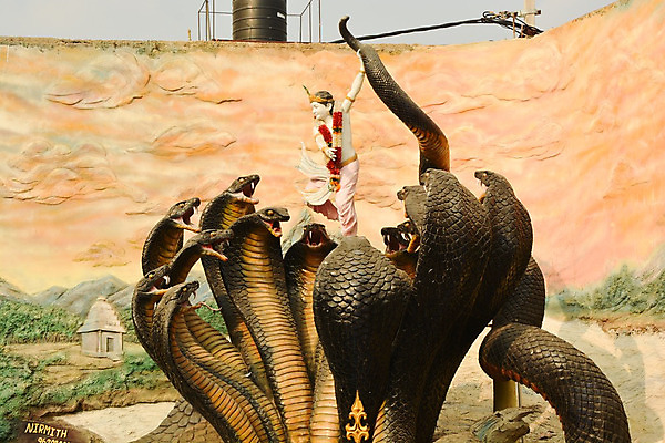 포토 JPG 해외이미지 편집 전통 디자인 아시아 종교 문화 백그라운드 일러스트 놀이 미술 사람없음 장식 믿음 축제 축하 춤 뱀 인도인 집중 신성 신화 보호자 귀족 숭배 신앙심 전설 힌두교 아바타 해외202004 해외포토 외국인 감정 나라 컨셉 파충류 문화예술 동양인 파일형식 이미지허브