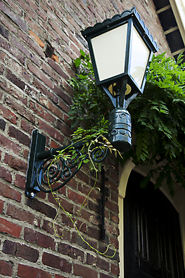 포토 JPG 해외이미지 식물 벽 건축양식 벽돌 사람없음 야외 건물 장식 문 금속 수확 등불 램프 해외202004 해외포토 건축물 건축 농업 재질 조명 파일형식 이미지허브