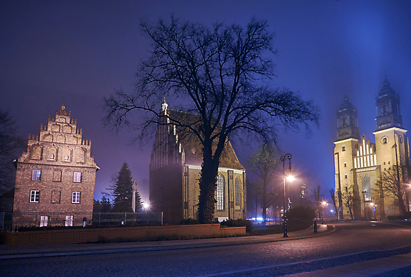 포토 JPG 해외이미지 나무 벽 창문 하늘 벽돌 거리 사람없음 빛 성당 교회 탑 어둠 안개 등불 램프 보행로 야간 폴란드 고딕 해외202004 해외포토 자연요소 식물 건축물 유럽 길 종교건축 날씨 조명 건물 파일형식 이미지허브