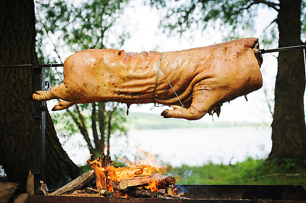 포토 JPG 해외이미지 전신 전통문화 줄 음식 불 육류 돼지고기 요리 사람없음 야외 식사 돼지 뜨거움 꼬치 그릴 바비큐 굽기 준비 되감기 음식준비 해외202004 해외포토 자연요소 전통 문화 식재료 포유류 주방용품 구이 파일형식 이미지허브