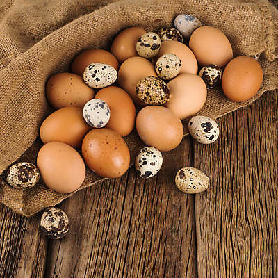 포토 JPG 해외이미지 음식 농업 재료 탁자 조류 부활절 주택 건강 요리 사람없음 목재 빛 농장 갈색 주방 계란 저녁식사 치킨 어둠 껍질 시골 신선 점 그룹 시장 아침식사 작음 삼베 유기농 날것 자루 흙더미 내추럴 점심식사 단백질 메추리 옛날 프로방스 해외202004 해외포토 나무 동물 웰빙 기념일 산업 컬러 가구 건물 알 식사 흙 크기 닭고기요리 영양소 파일형식 천_직물 더미 이미지허브