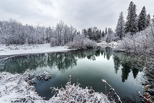 포토 JPG 해외이미지 모양 나무 구름 계절 여행 겨울 자연 하늘 날씨 휴가 풍경 사람없음 야외 목재 물 강 반사 냉동 추위 가을 흰색 개울 숲 12월 서리 장면 1월 내추럴 눈내림 해외202004 해외포토 자연요소 식물 컬러 재료 눈_날씨 날짜 생태계 파일형식 이미지허브