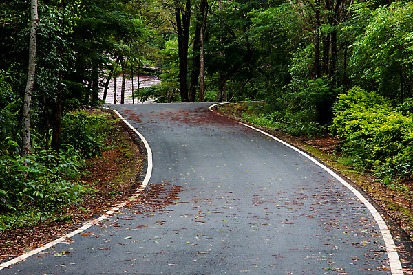 포토 JPG 해외이미지 나무 구름 공원 도로 선 여행 백그라운드 교통시설 모션 자연 하늘 거리 풍경 사람없음 야외 초록색 여름 파란색 일출 환경 맑음 일몰 새벽 운전 젖음 자유 시골 고속도로 숲 아스팔트 속도 장면 루트 방법 수평선 해외202004 해외포토 자연요소 식물 계절 공공시설 길 컬러 교통 컨셉 날씨 노을 시설 생태계 파일형식 이미지허브