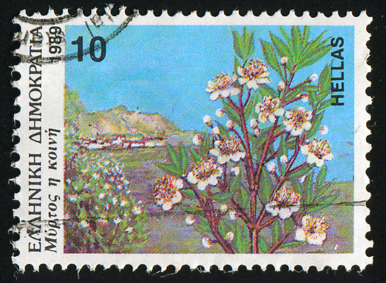 포토 JPG 해외이미지 식물 꽃잎 꽃 줄기 꽃다발 곤충 잎 밭 과일 자연 봉투 산 씨앗 사람없음 물 수확 골동품 가시 메시지 역사 수분 물개 편지 탈출 그리스 복고 냄새 엽서 아로마 꽃가루 꿀 우표 꽃수술 막자 옛날 해외202004 해외포토 자연요소 동물 유럽 컨셉 농업 포유류 바다동물 가루 생태계 파일형식 이미지허브