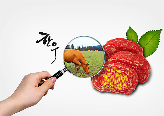 PSD 편집 편집이미지 손 식재료 돋보기 나뭇잎 생고기 한명 신체부위 가축 목장 소고기 소 바코드 한우 자연주의 소불고기 이미지편집 동물 1 잎 포유류 육류 사람 불고기 파일형식