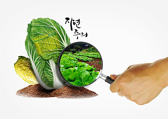 PSD 편집 편집이미지 손 식재료 한명 신체부위 흙 배추 유기농 바코드 확대경 배추밭 자연주의 이미지편집 1 웰빙 밭 채소 사람 파일형식 농업 산업