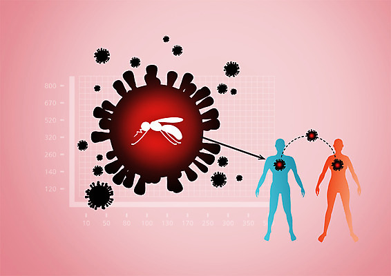 PSD 편집 편집이미지 의학 그래프 사람모양 사람없음 바이러스 질병 박테리아 모기 전염병 이미지편집 모양 해충 파일형식