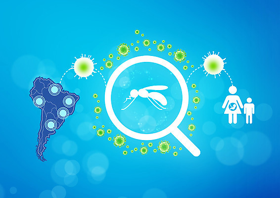 PSD 편집 편집이미지 지도 의학 사람모양 사람없음 임산부 임신 출산 남아메리카 바이러스 질병 태아 박테리아 모기 전염병 지카바이러스 이미지편집 모양 아메리카 해충 파일형식