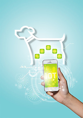 PSD 편집 편집이미지 손 정보기술 스마트라이프 한명 신체부위 스마트폰 반려동물 디지털 강아지 스마트 반려 뼈다귀모양 애완동물등록제 사물인터넷 4차산업 이미지편집 모양 동물 1 라이프스타일 산업 컨셉 기술 사람 핸드폰 스마트기기 개 제도 파일형식