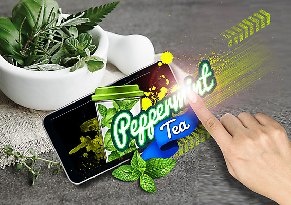 PSD 편집 편집이미지 손 음료 한명 신체부위 컵 스마트폰 터치 차 허브 막자사발 로즈메리 허브차 이미지편집 식물 1 식기 사람 차_음료 핸드폰 스마트기기 사발 파일형식