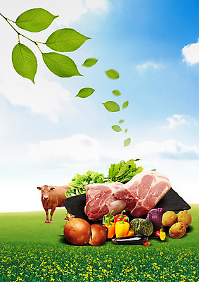 PSD 구름 편집 편집이미지 식재료 하늘 호박 가지 양파 피망 나뭇잎 감자 생고기 돼지고기 잔디 사람없음 소 양배추 목심 이미지편집 자연요소 식물 잎 채소 포유류 육류 파일형식