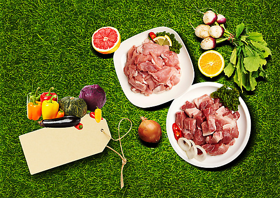 PSD 편집 편집이미지 접시 오렌지 식재료 호박 가지 양파 피망 생고기 육류 돼지고기 잔디 사람없음 라벨 레몬 자몽 양배추 등심 열무 뒷다리살 이미지편집 식물 식기 채소 과일 프레임 무 파일형식