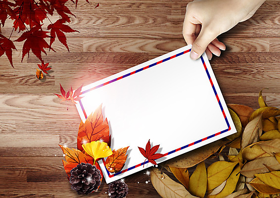 PSD 편집 편집이미지 손 종이 단풍 낙엽 프레임 한명 신체부위 가을 은행잎 솔방울 이미지편집 1 계절 잎 사람 파일형식