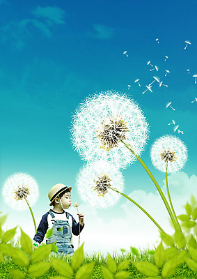 PSD 구름 편집 편집이미지 모자 남자 어린이 하늘 나뭇잎 한명 상반신 자연보호 환경 그린캠페인 한국인 불기 민들레홀씨 소년한명만 이미지편집 자연요소 1 잡화 캠페인 잎 모션 자연 사람 동양인 보호 민들레 남자한명만 소년만 파일형식