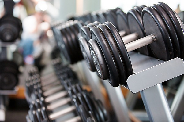 포토 JPG 실내 건강 사람없음 운동기구 헬스 아령 헬스장 의료성형뷰티 국내포토 내부 운동 파일형식