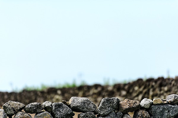 포토 JPG 주간 배경화면 백그라운드 돌담 풍경 사람없음 야외 아웃포커스 제주도 돌 국내포토 자연요소 한국 촬영기법 담장 돌_바위 파일형식