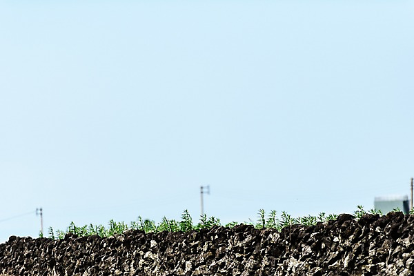 포토 JPG 주간 배경화면 백그라운드 돌담 풍경 사람없음 야외 아웃포커스 제주도 돌담길 국내포토 자연요소 길 한국 촬영기법 담장 돌 바위 파일형식