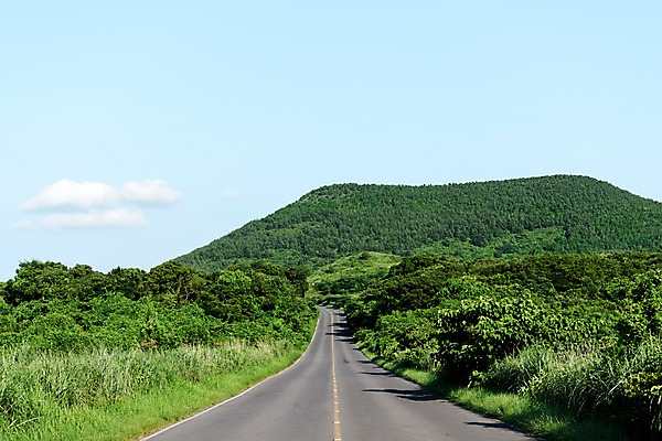 포토 JPG 주간 나무 도로 자연 풍경 사람없음 야외 제주도 좌보미오름 국내포토 자연요소 식물 길 교통시설 한국 생태계 오름 파일형식