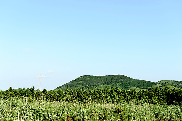 포토 JPG 주간 나무 자연 풍경 사람없음 야외 제주도 풀 좌보미오름 국내포토 자연요소 식물 한국 생태계 오름 파일형식