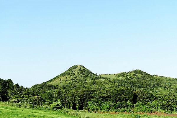 포토 JPG 주간 나무 자연 하늘 풍경 사람없음 야외 제주도 오름 거미오름 국내포토 자연요소 식물 한국 생태계 파일형식