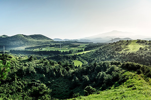 포토 JPG 주간 나무 자연 풍경 사람없음 야외 제주도 오름 한라산 백약이오름 거미오름 국내포토 자연요소 식물 산 한국 생태계 파일형식
