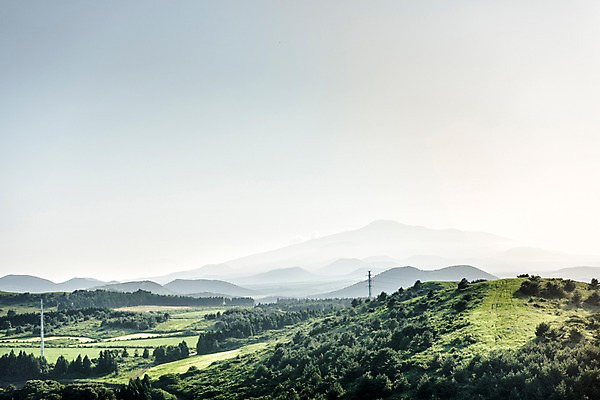 포토 JPG 주간 나무 자연 하늘 풍경 사람없음 야외 제주도 오름 한라산 거미오름 국내포토 자연요소 식물 산 한국 생태계 파일형식