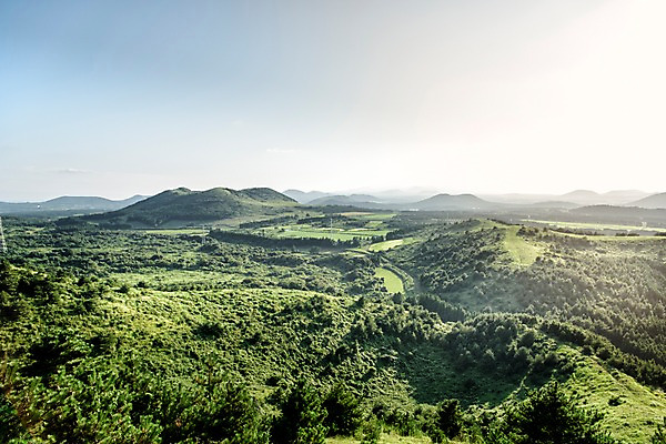 포토 JPG 주간 나무 자연 풍경 사람없음 야외 제주도 오름 거미오름 국내포토 자연요소 식물 한국 생태계 파일형식