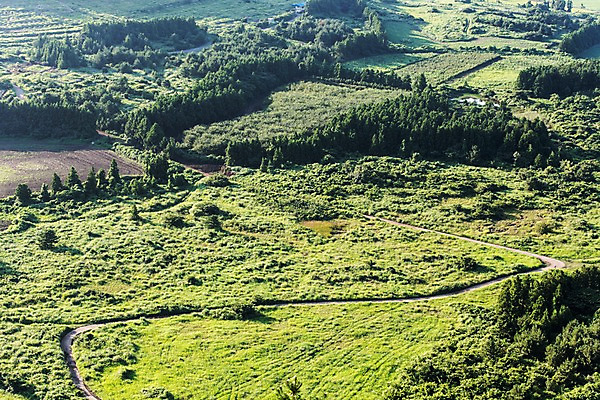 포토 JPG 주간 나무 자연 풍경 사람없음 야외 제주도 거미오름 국내포토 자연요소 식물 한국 생태계 오름 파일형식